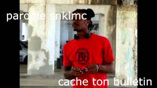 PARODIE SNKLMC  COLLER LA PETITE extrait [upl. by Columba630]