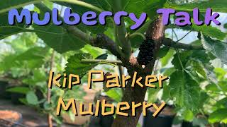 Kip Parker Mulberry [upl. by Adnohsak]