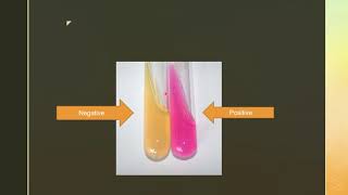 Biochemical tests  catalase Urease Oxidase Biochemicaltests [upl. by Derwin533]