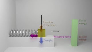 Animation of a damped harmonic oscillator physics mechanics [upl. by Susumu]