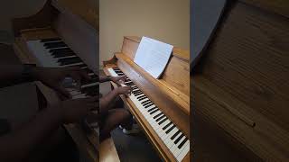 Chappell Roan  Femininomenon Piano Cover piano clarinet music cover chappellroan pop [upl. by Ragan]