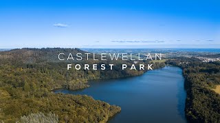 Castlewellan Forest Park  4K Aerial Footage  DJI Mavic Pro [upl. by Octavla878]