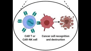 MIDTERM  Gene Therapy and Kymriah [upl. by Ahcilef]