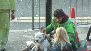 Outside Westfield Shopping Centre Stratford London UK 13th November 2011 2 [upl. by Nahsad342]