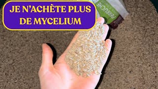 PRÉPARER MON GRAIN POUR FAIRE DU MYCÉLIUM [upl. by Oihsoy]