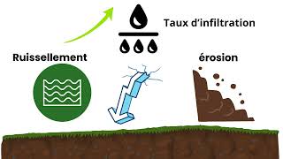 Gestion durable des sols Fertilité et bonnes pratiques [upl. by Vivie230]