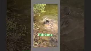 Big Fish Game Video [upl. by Piefer110]