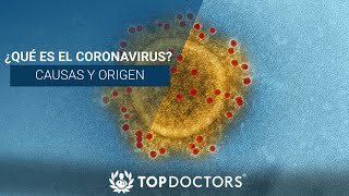 ¿Qué es el Coronavirus Causas y origen [upl. by Ellenor]