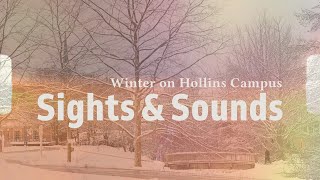 Sights amp Sounds  Winter on Hollins Campus 2024 [upl. by Nytram278]