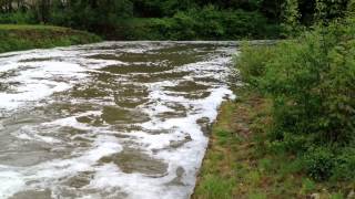 River in Epinay Sous Senart France at Forest of Sénart [upl. by Annekahs]