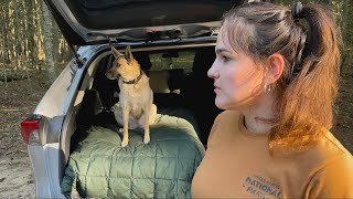 the journey after estrangement — RAV4 solo car camping and living with dog [upl. by Keever]