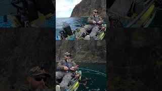 FISH ON  BIG POLLOCK  SEA FISHING UK  KAYAK FISHING UK  ILSE OF SKYE  HARLEY KAYAK ANGLER [upl. by Fedak]