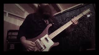 Tool  Stinkfist  Bass Cover [upl. by Skipp]