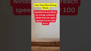 Facts about Sandstorm in the Middle East How blow strong shorts [upl. by Sonitnatsnok]