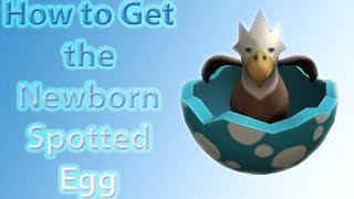 How to Get the Newborn Spotted Egg  ROBLOX Egg Hunt 2019 Guide [upl. by Harl]