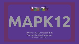 MAPK12 amp MYC cell growth regulation Gene Activation Frequency [upl. by Varian]