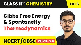 Gibbs Free Energy and Spontaneity  Thermodynamics  Class 11 Chemistry Chapter 5 [upl. by Naek775]