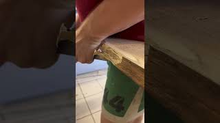 Woodworking ASMR 🌱✨asmr wooden woodworker woodworking woodwork wood workshop oak [upl. by Akili]