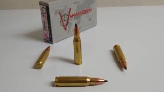 308 Win  Nosler Varmageddon FB Tipped 110 gr AR10 gel test 41423 [upl. by Lani]