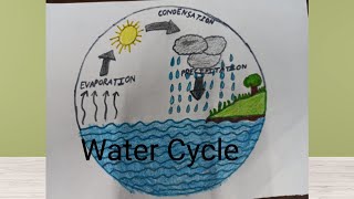 water cycle drawing  How to draw water cycle of a school project  water cycle drawing and coloring [upl. by Prager]