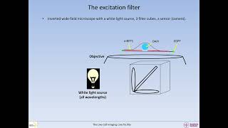 How to evaluate imaging efficiency and risk for bleedthrough Part 1 Basic microscopy [upl. by Utley]