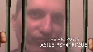 THE MIC POSSE  09  ASILE PSYCHIATRIQUE  LP 2024 [upl. by Nilecoj]