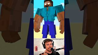 MR BEAST MINECRAFT 🗿 [upl. by Amalita]