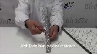 Diferencias Pinchos antipalomas metal Importación Vs Birdtech [upl. by Diarmid647]