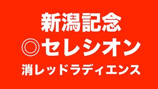 《新潟２歳Sの的中に続け》新潟記念 2024【予想】ライトバックVSレッドラディエンスが激突も！私の本命はこの２強じゃない！攻めるならこの馬だ！ [upl. by Beall]