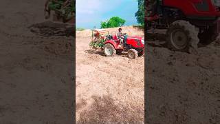 Massey Ferguson 6028 Maxpro 4Wd MiniTractor CompactTractor GardenTractor Cultivation Shorts [upl. by Lleruj]