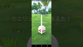 色違いシャドウミニリュウ捕獲【ポケモンGO】 [upl. by Ninette]