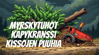 Myrskytuhot käpykranssi ja kissojen pölhöilyjä [upl. by Gwyn]