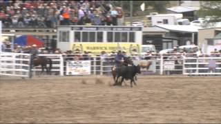 Warwick Gold Cup Run Off 2012  Campdraft TV [upl. by Dhiren541]