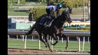 The Kentucky Derby by the Thorograph Numbers [upl. by Alfons]