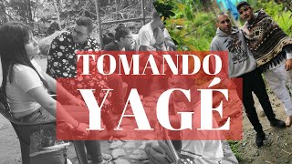 EL PODER DEL YAGÉ Un viaje espiritual  Tomando yagé en Palmira Valle del Cauca 😱 [upl. by Brout]