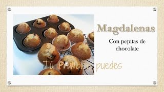 Magdalenas con pepitas de chocolate [upl. by Foss884]