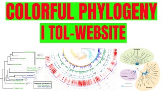 How to construct colorful Phylogenetic trees for research article  Lecture3 [upl. by Assadah]