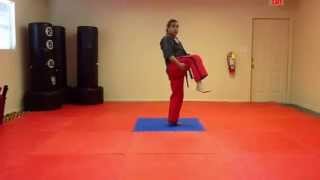 Crescent Kick Tutorial  Inside amp Outside Standing Spinning amp Jumping [upl. by Daugherty687]