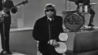 The Yardbirds  For Your Love 1965 Full version [upl. by Leamhsi]