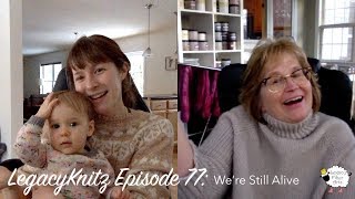 LegacyKnitz Episode 77 Were Still Alive [upl. by Yrem]