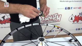 Mantenimiento rueda Mavic Crossmax SLR 29quot [upl. by Clyte]