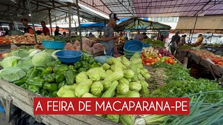 FEIRA DE MACAPARANA [upl. by Knudson]