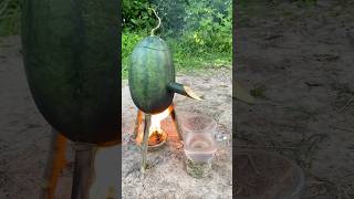 Survival Skills SIMPLE and USEFUL with steam bad water in watermelon bushcraft camping outdoors [upl. by Florinda]