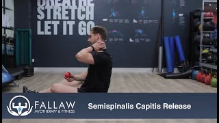 NECK PAIN  Semispinalis Capitis Release [upl. by Ayihsa]