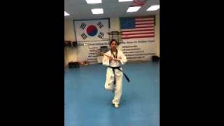 Tae Kwon Do Sword Form 1 [upl. by Ashwell432]