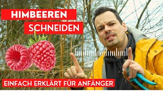 Himbeeren schneiden schnell amp einfach erklärt für Anfänger [upl. by Hendrix]