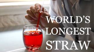 Worlds Longest Straw [upl. by Vanhomrigh462]