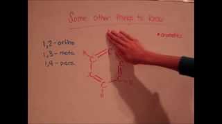 Organic Chemistry Review [upl. by Arndt]