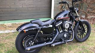 Harley Sportster Iron mit PenzlAuspuff offen Standgas [upl. by Aseena]