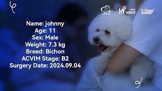 Case Review of MMVD StageB2 Patient Johnny [upl. by Meri]